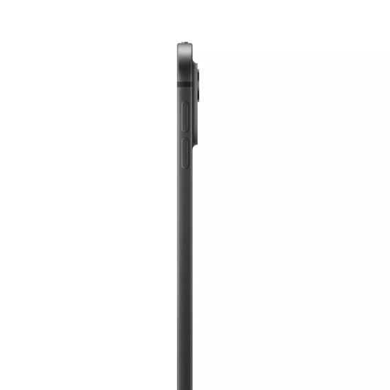 1000IPADPRO11INC256GBSPABLAWIFI_4